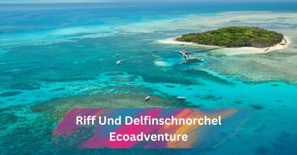 Riff Und Delfinschnorchel Ecoadventure