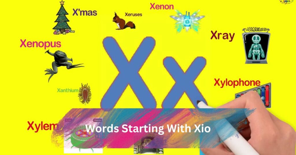 Words Starting With Xio